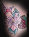 Hummingbird