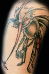 Mosquito